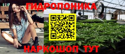дурь Кандалакша