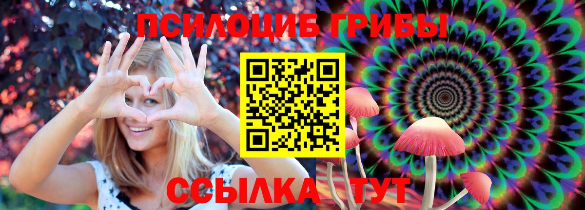 Псилоцибиновые грибы Psilocybine cubensis  Вход с VPN  Фролово  Псилоцибиновые грибы мухоморы 